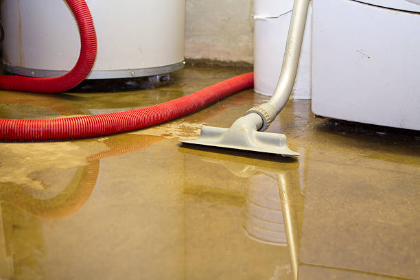 Best Water damage restoration near me  in Dubois, PA