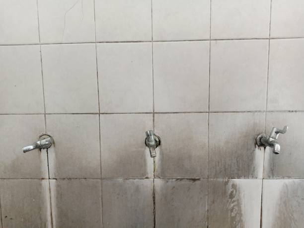 Best Carpet water damage restoration  in Dubois, PA