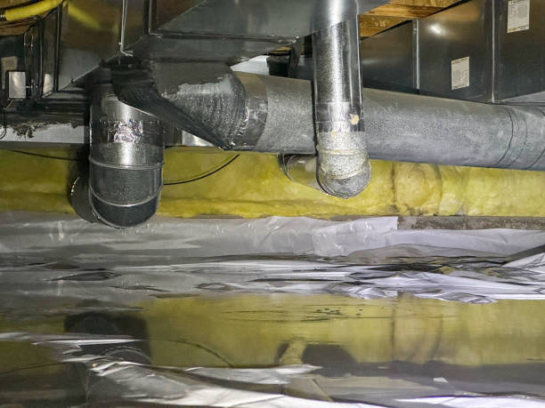 Best Mold removal after water damage  in Dubois, PA