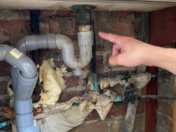 Best Sewage cleanup and water damage restoration  in Dubois, PA