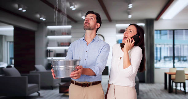 Best Flood damage cleanup  in Dubois, PA