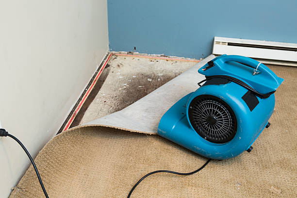 Best 24/7 water damage repair  in Dubois, PA
